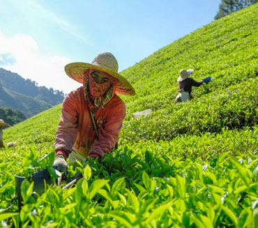 Lorem ipsum dolor sit amet, consectetur adipiscing elit